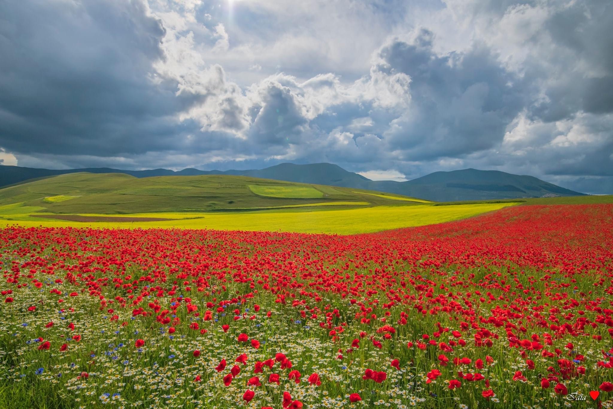 Castelluccio di Norcia